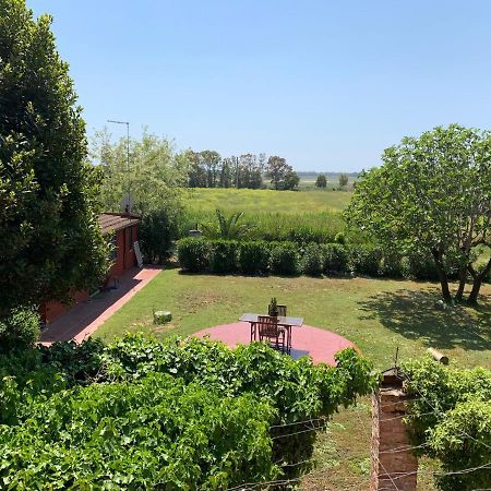Casale Degli Ulivi Maccarese Villa Le Cerquete Kültér fotó