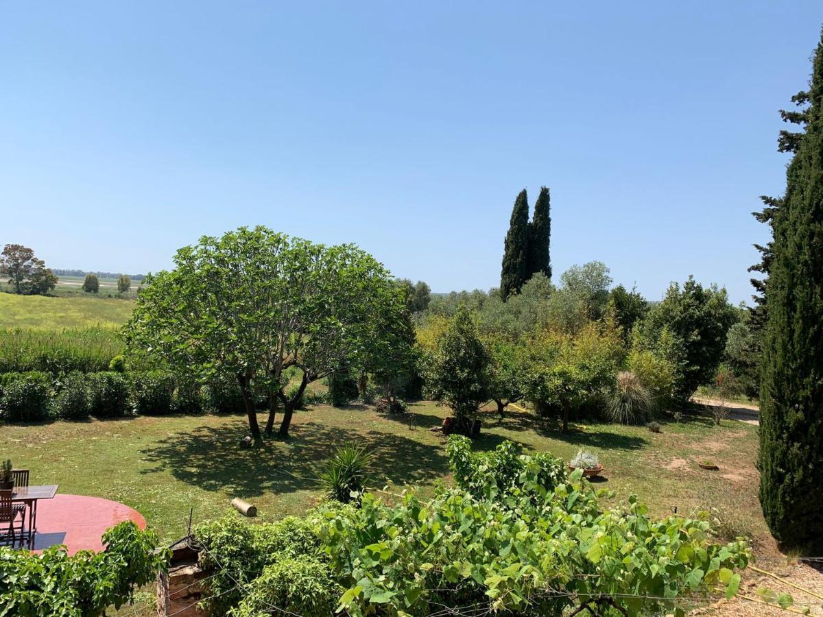 Casale Degli Ulivi Maccarese Villa Le Cerquete Kültér fotó
