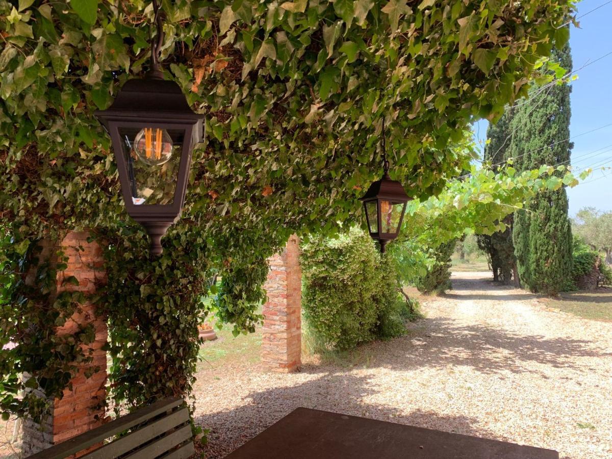 Casale Degli Ulivi Maccarese Villa Le Cerquete Kültér fotó