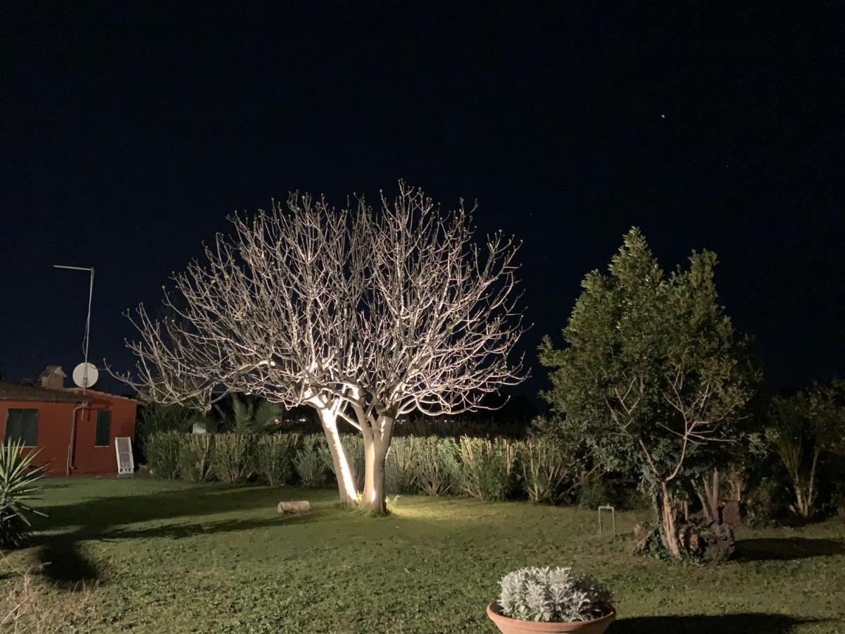 Casale Degli Ulivi Maccarese Villa Le Cerquete Kültér fotó
