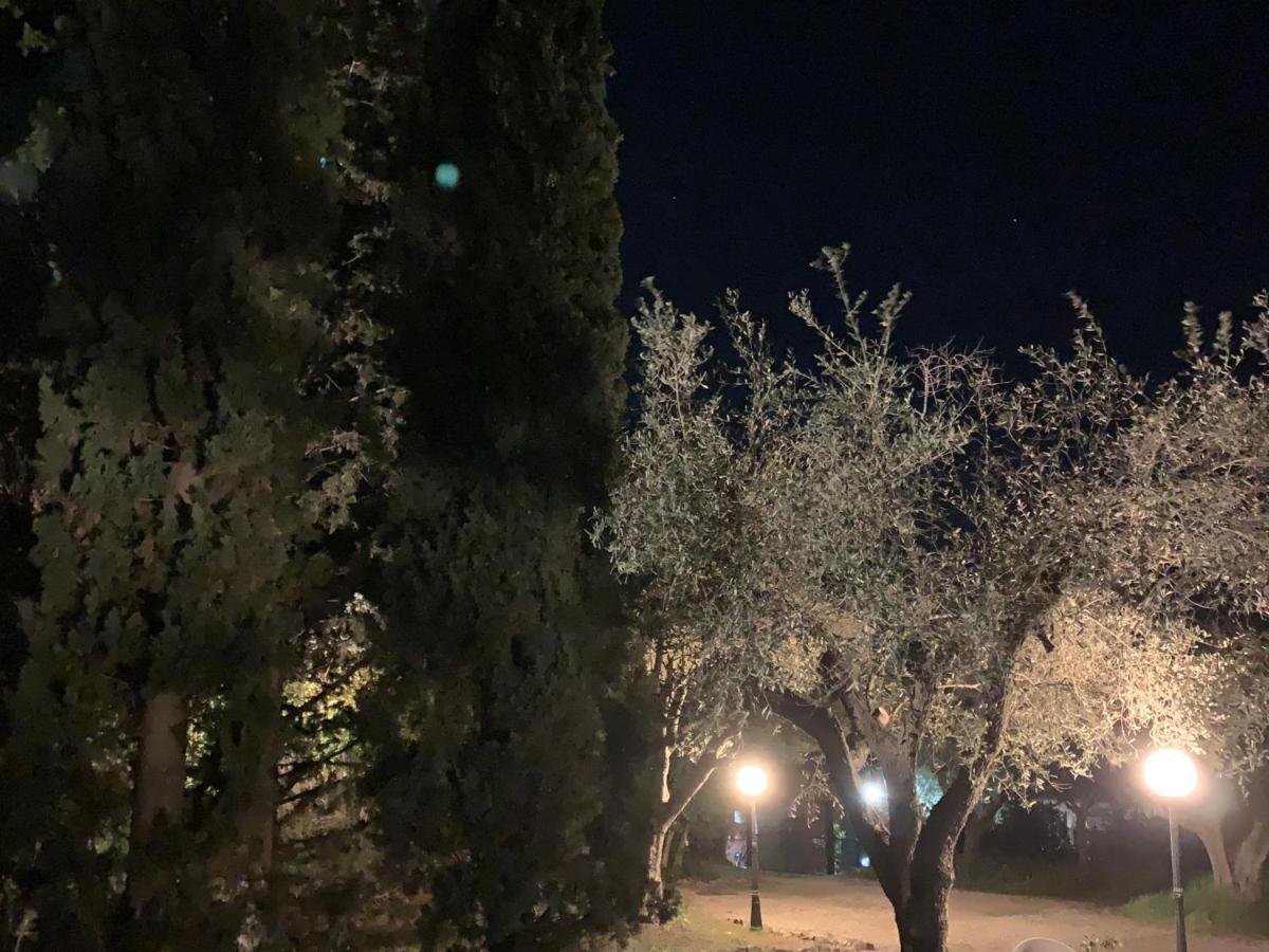 Casale Degli Ulivi Maccarese Villa Le Cerquete Kültér fotó