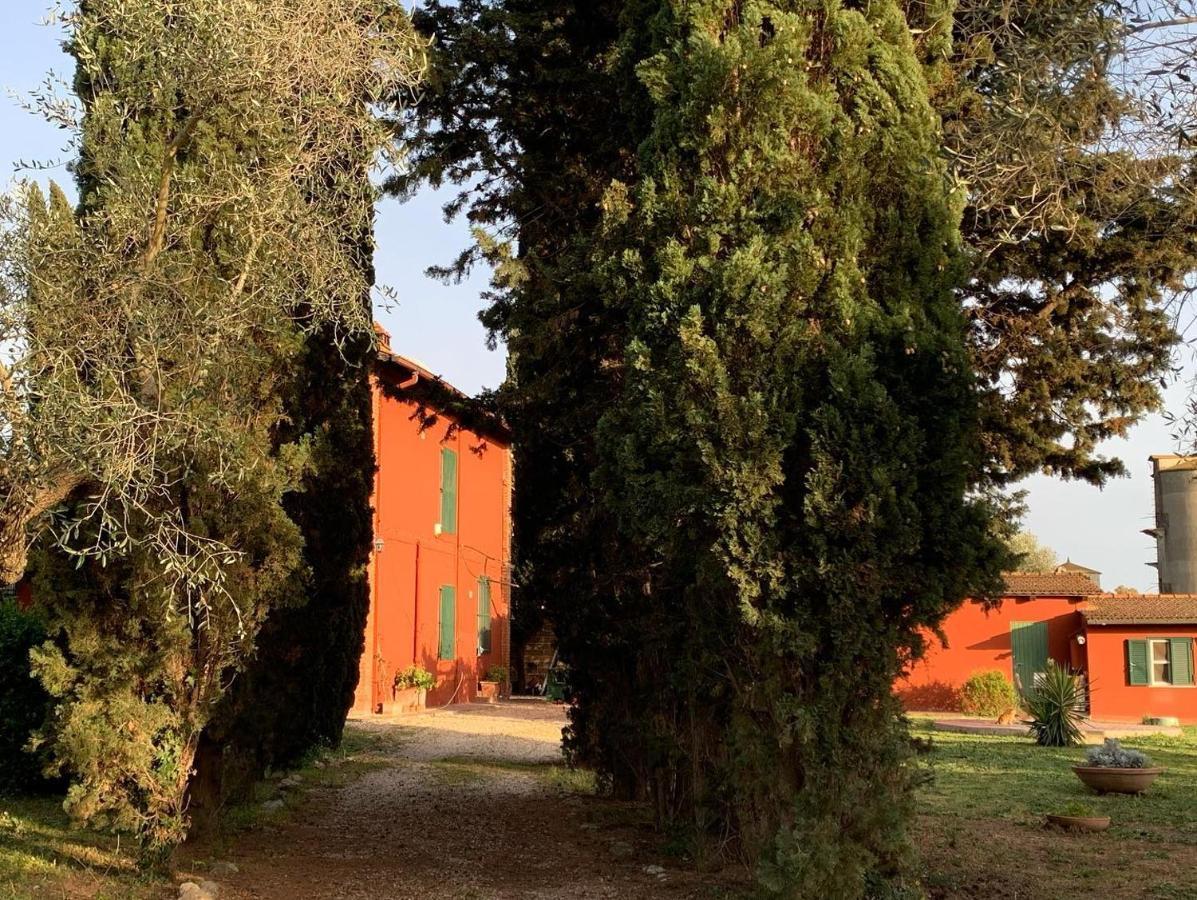 Casale Degli Ulivi Maccarese Villa Le Cerquete Kültér fotó