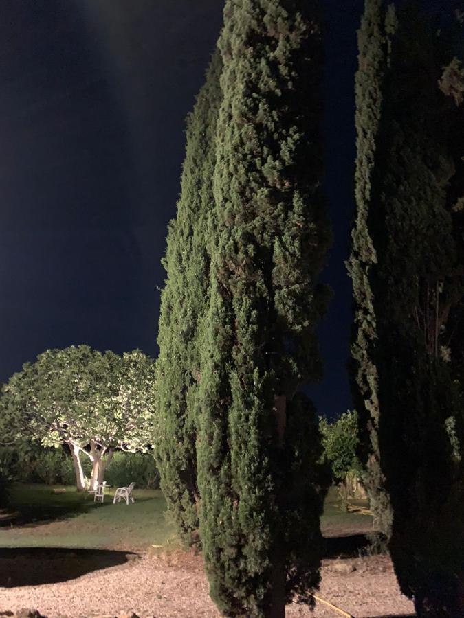 Casale Degli Ulivi Maccarese Villa Le Cerquete Kültér fotó