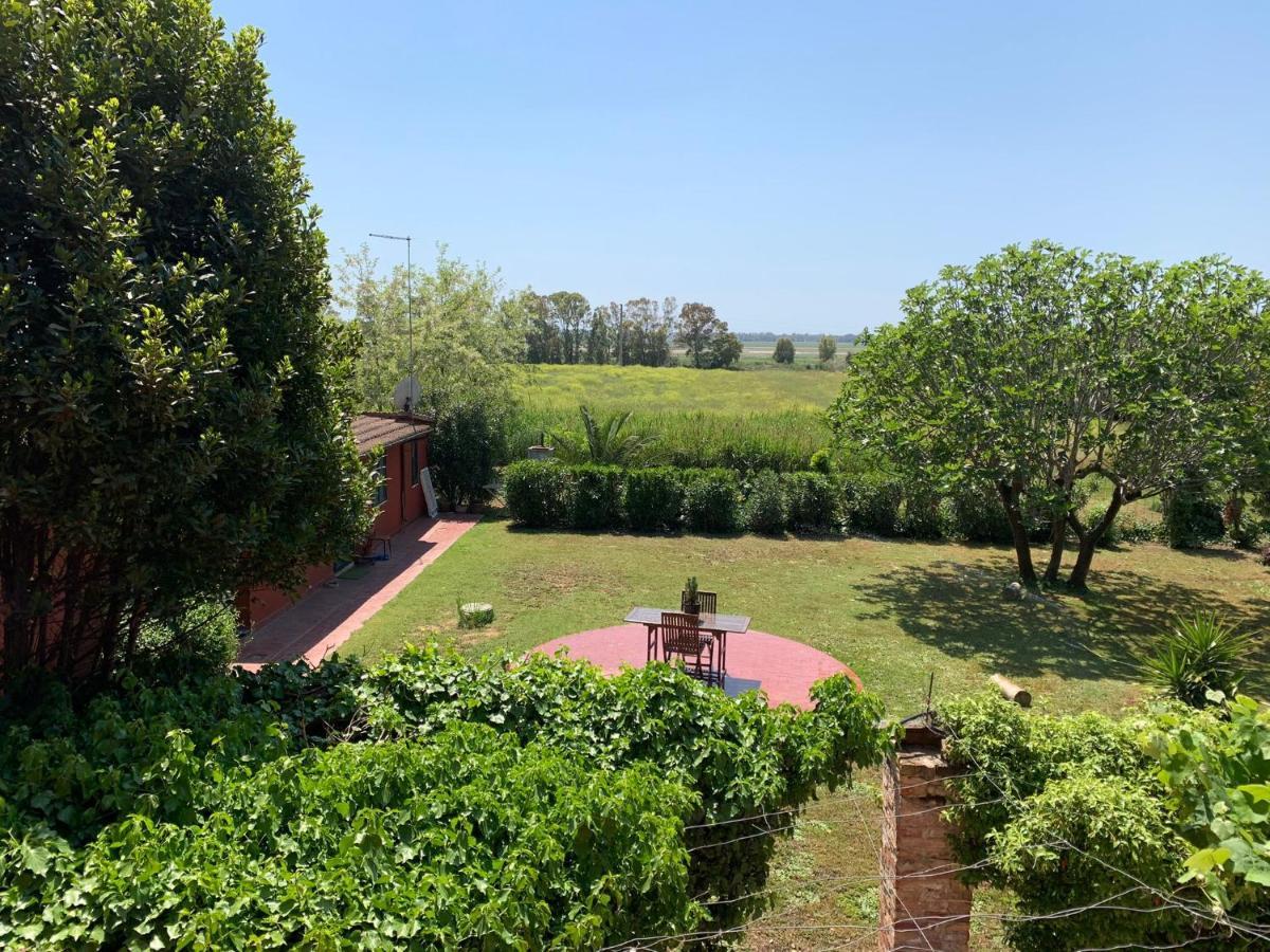 Casale Degli Ulivi Maccarese Villa Le Cerquete Kültér fotó